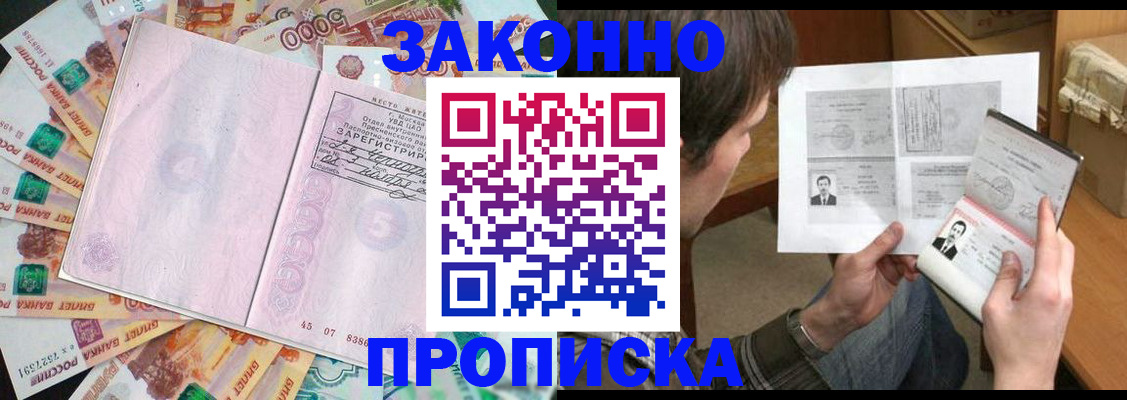 прописка для школы в Димитровграде